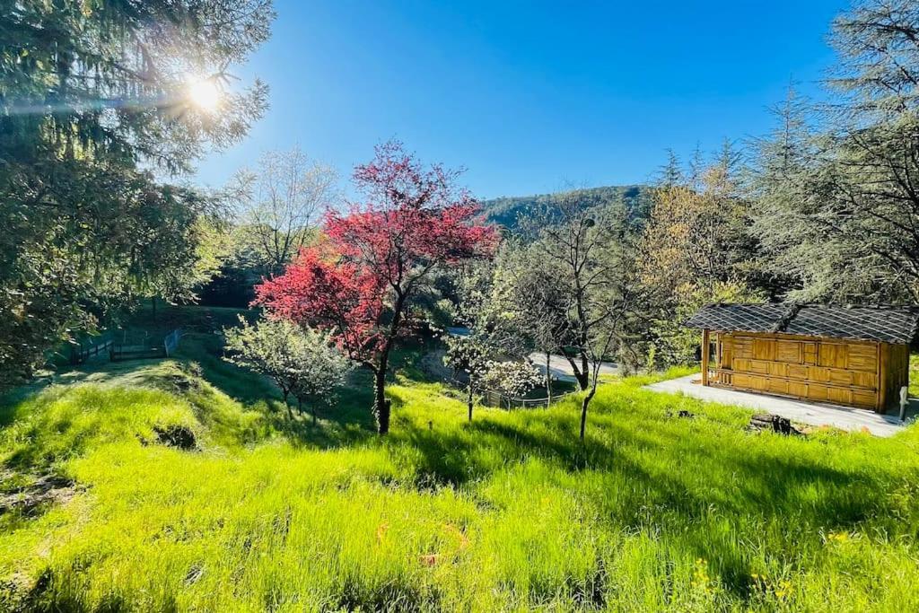 Appartement Gite Des 3 Vallees - Le Soleil Des Cevennes à Saint-Jean-du-Gard Extérieur photo