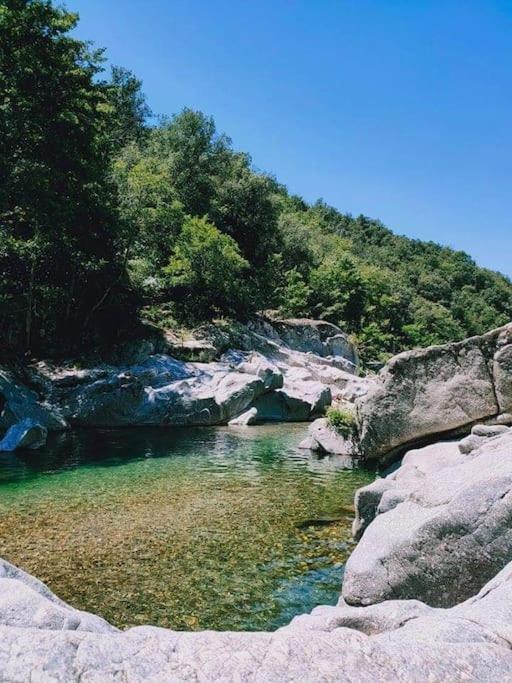 Appartement Gite Des 3 Vallees - Le Soleil Des Cevennes à Saint-Jean-du-Gard Extérieur photo